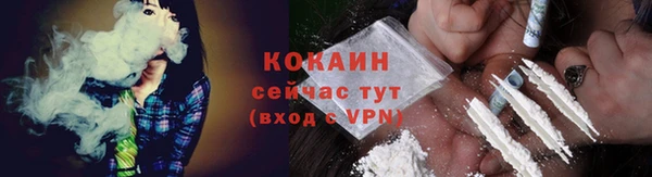 сатива Баксан