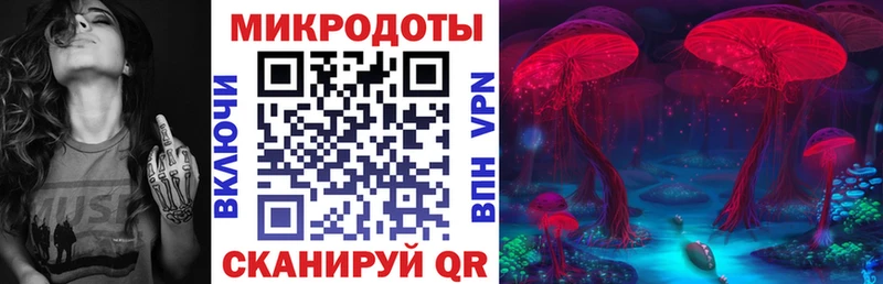 Галлюциногенные грибы Psilocybe  Нязепетровск 